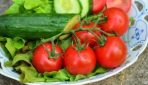 Помідори і огірки – заборонене поєднання? Чому не можна їсти помідори з огірками разом і з чим їх краще поєднувати